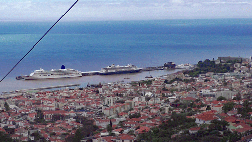 Funchal-hillside-and-cruise-ships.gif