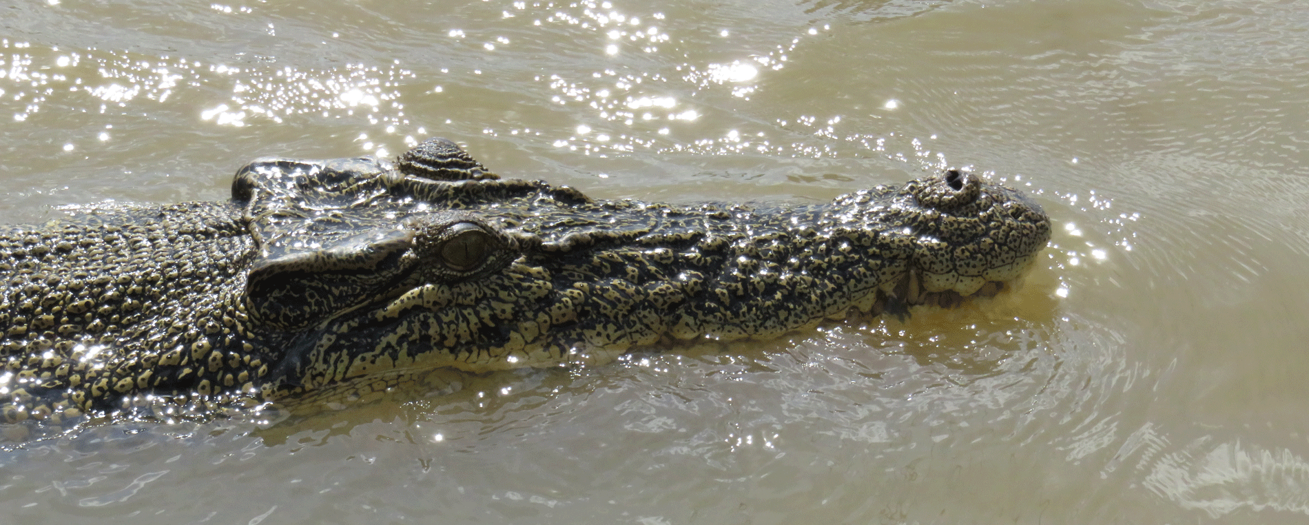 Day 46,  Darwin, Northern Territory, Australia