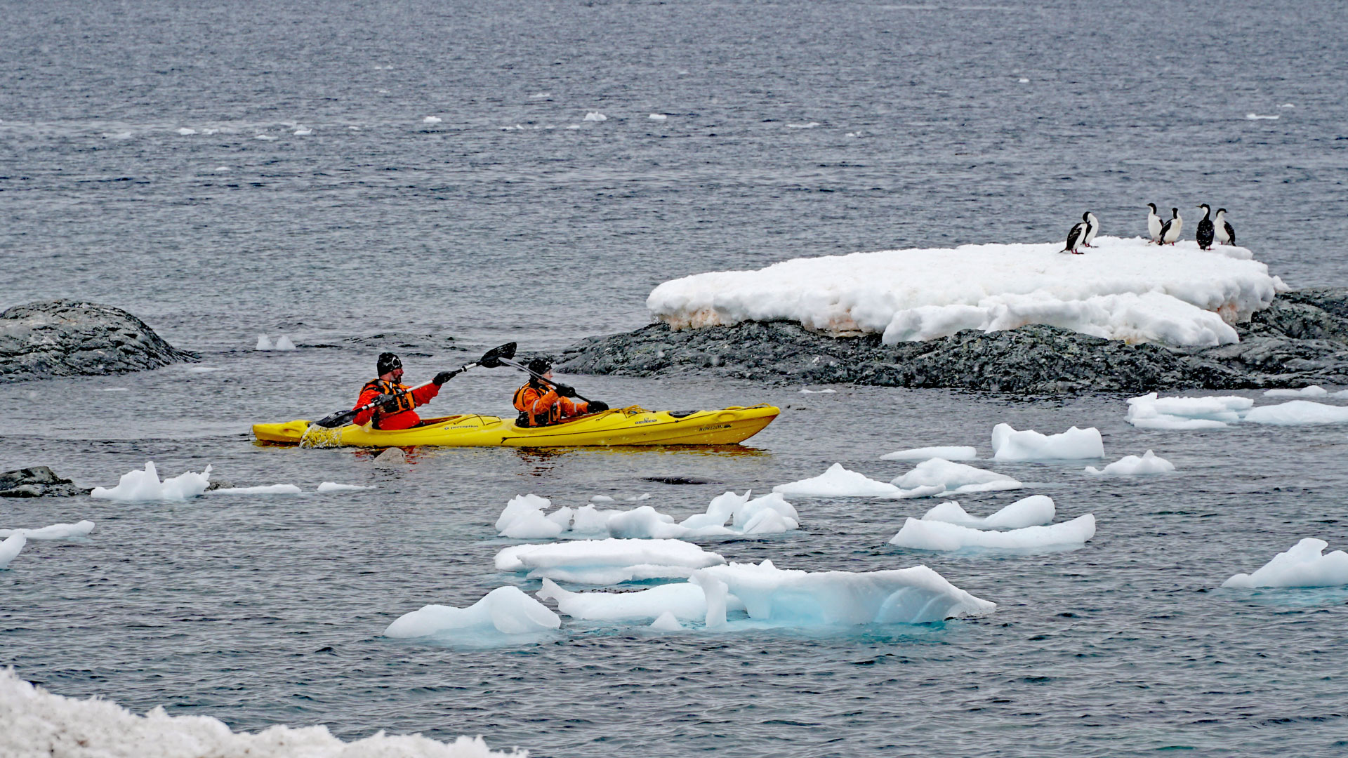 Day 23,  Waterboat Point, Antarctica Day 3