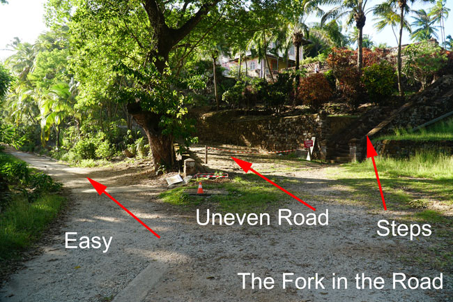 Fork-in-the-Road.jpg