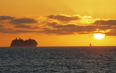 Back in the Saddle Again!