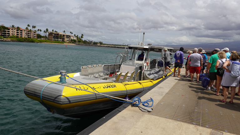 Whale Watching Zodiac Boat