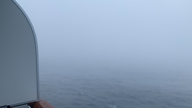 Foggy-Start.jpg