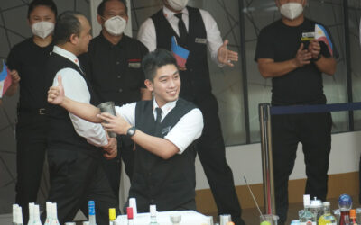 The Invasion of the Towel Animals (Post #24)