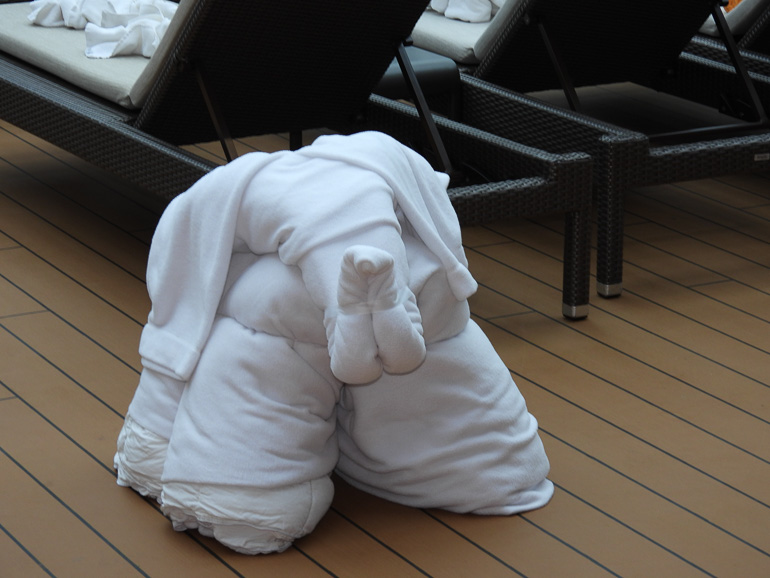 Towel Animals 1 of 1 7