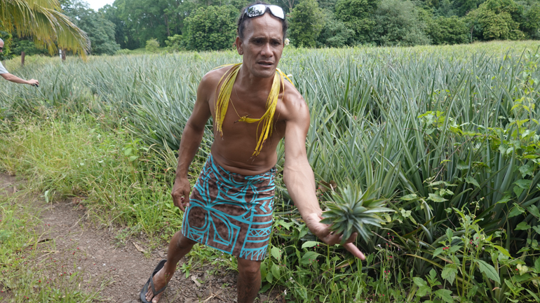 mata-at-pineapple-field.jpg