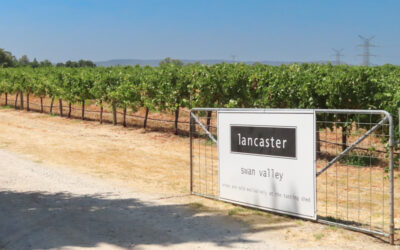Perth – Swan Valley Wine Tour (Post #46)