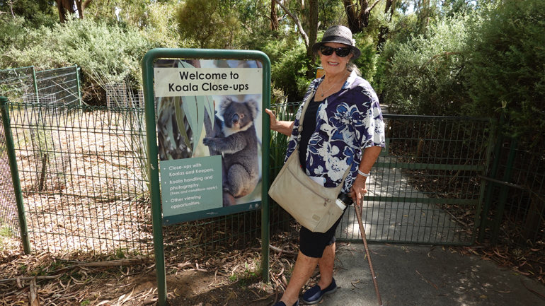 koala-close-up.jpg