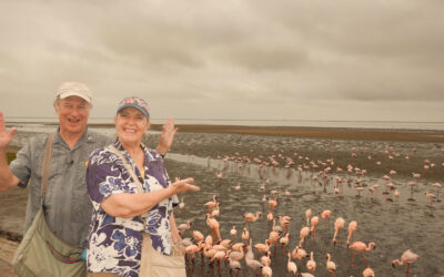 Walvis Bay, Namibia (Post #63)