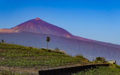 Santa Cruz, Tenerife (Post #72)