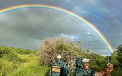 Safari Day #4, Thanda Safari Lodge – Cape Town (Post #59)