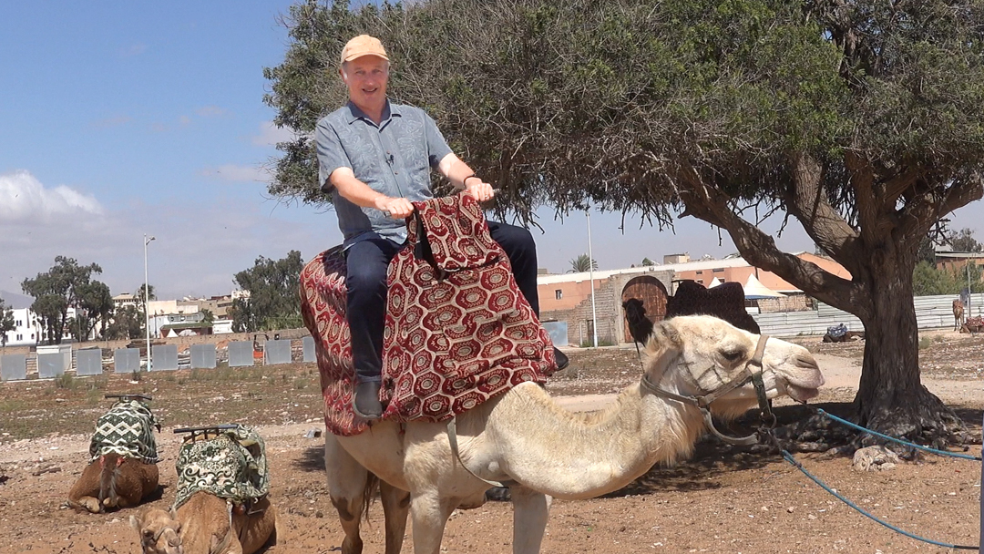 riding camel feature 1