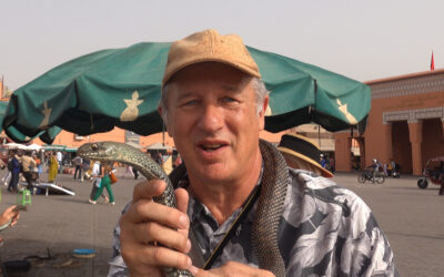 Casablanca to Marrakech, Morocco    (Post #75)