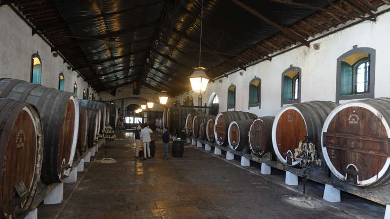 giant-wine-casks.jpg