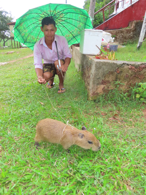 capybara.jpg