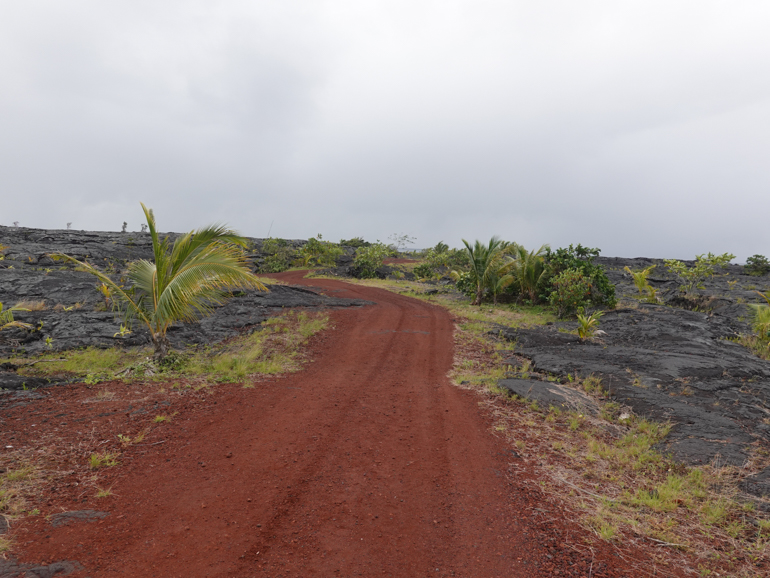 path-to-beach-2.jpg