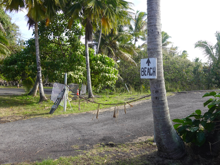 path-to-beach.jpg