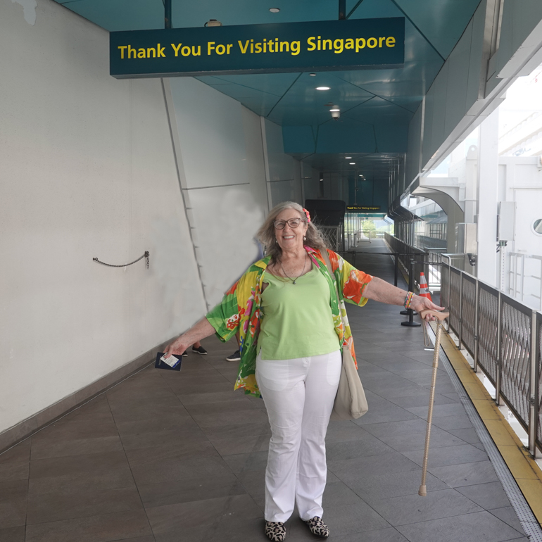 leaving-singapore.jpg
