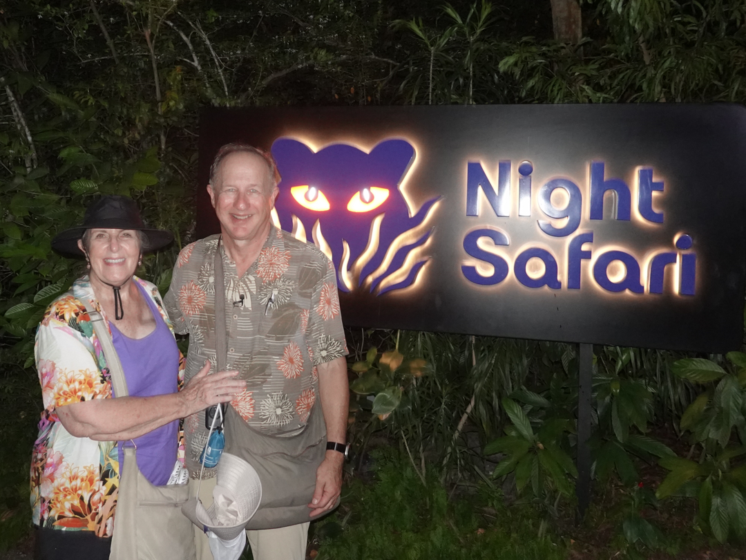 night-safari.jpg