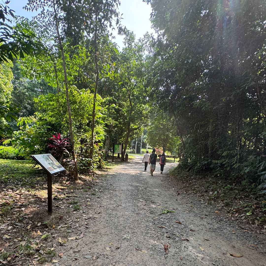 pulau-ubin-trail.jpg