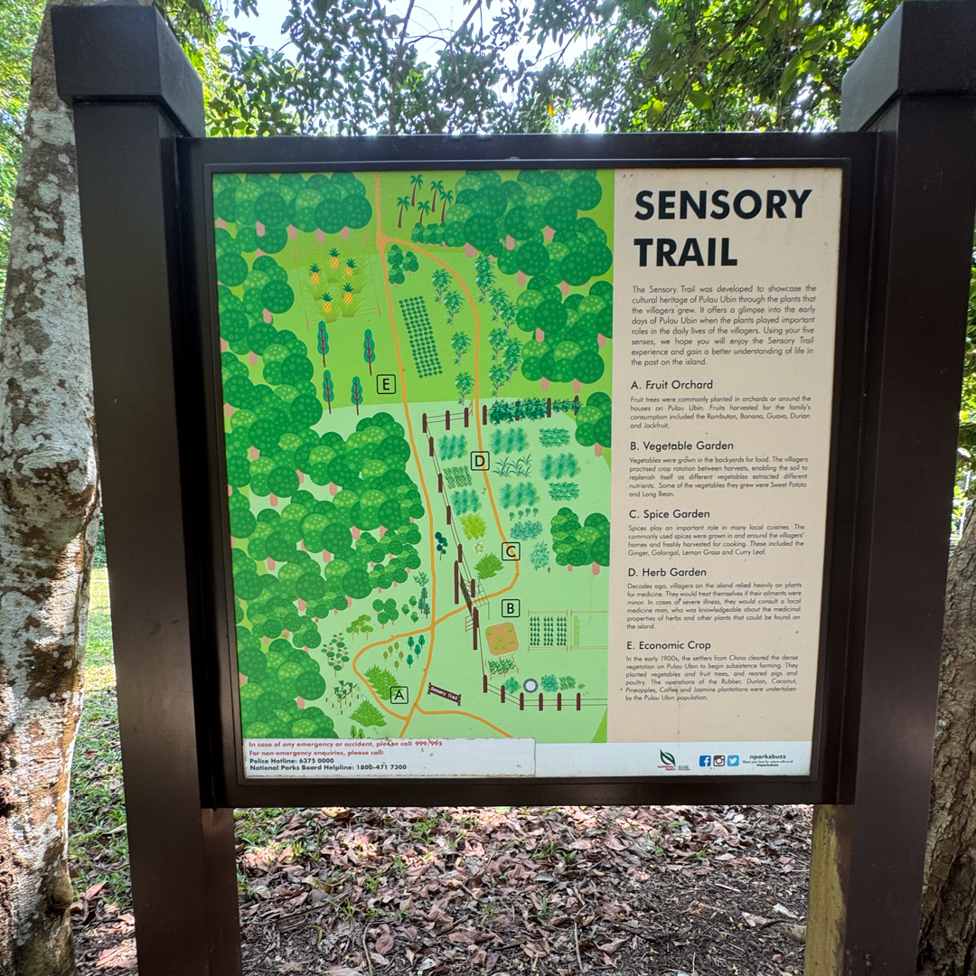 sensory-trail-1.jpg