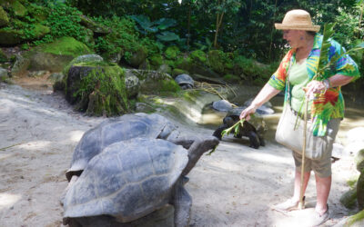 Victoria,  Seychelles   (Post #44)