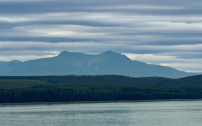 Cruising the Inside Passage